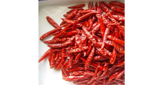 辣椒烘（hōng）幹機設備需要（yào）特別定製嗎（ma）