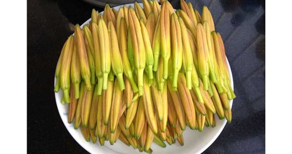 用（yòng）黃花菜烘幹機烘幹後的黃花（huā）菜好吃嗎？