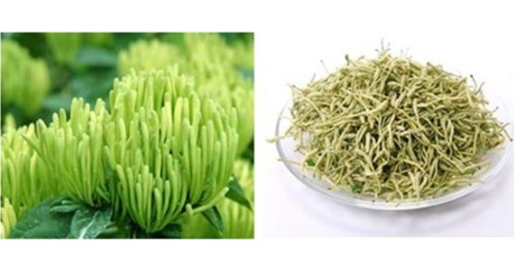 Drying process of honeysuckle