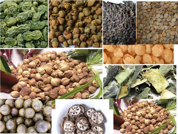 中藥材幹燥（zào）設備發展