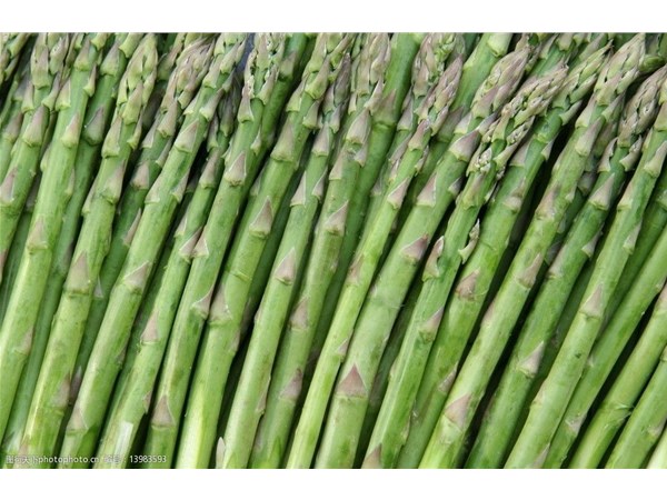 脫水蔬菜幹燥機的應用範圍介紹