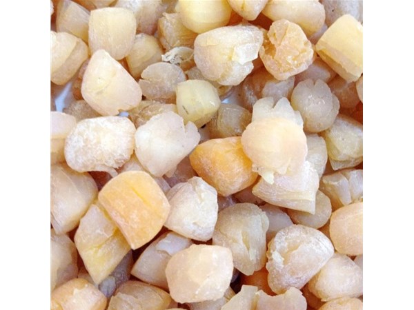 烘幹房能同時烘兩種不同物料