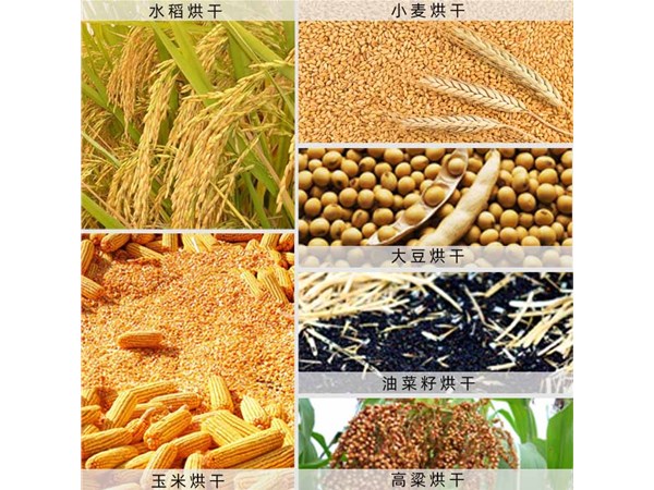 蔬菜烘幹機設備功能效果符合不同物料的幹燥需求