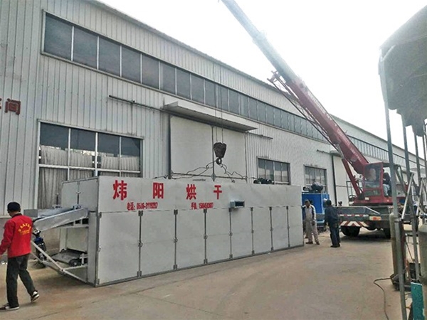 金絲（sī）皇（huáng）菊網帶烘幹機（jī）（點（diǎn）擊進入）