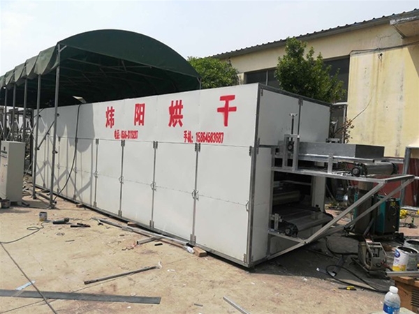 Pink skin mesh belt drying equipment (click to enter)