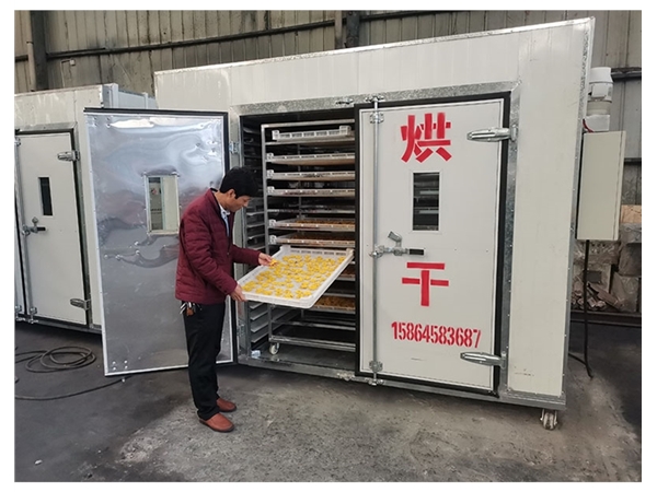 婺源黃菊烘幹箱