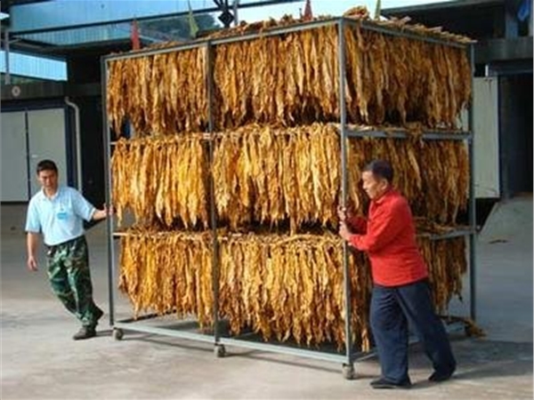 WYH係列煙草烘幹箱(點擊（jī）進入）